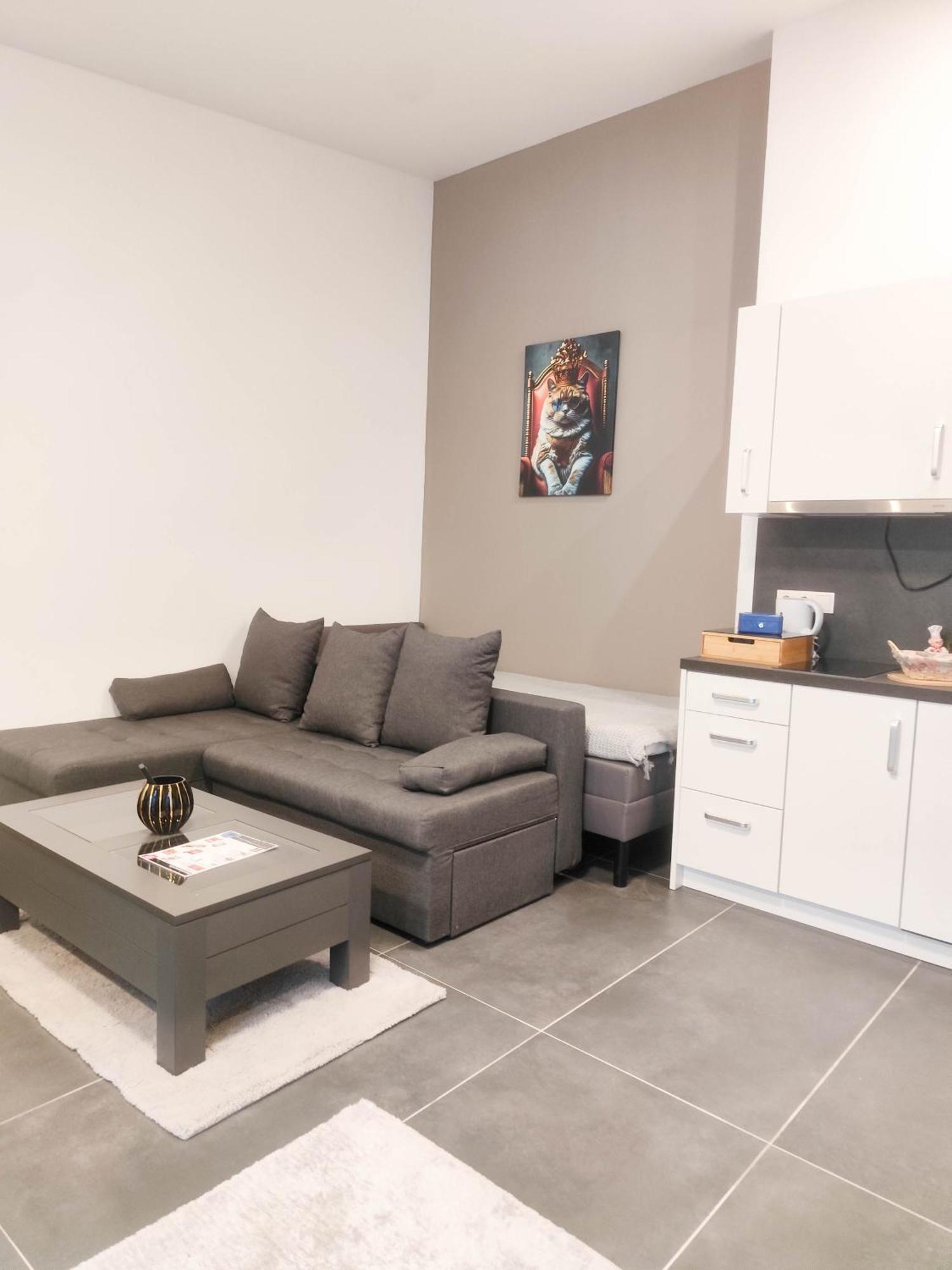 Cozy Apartments In Central Location With Free Parking Viyana Dış mekan fotoğraf