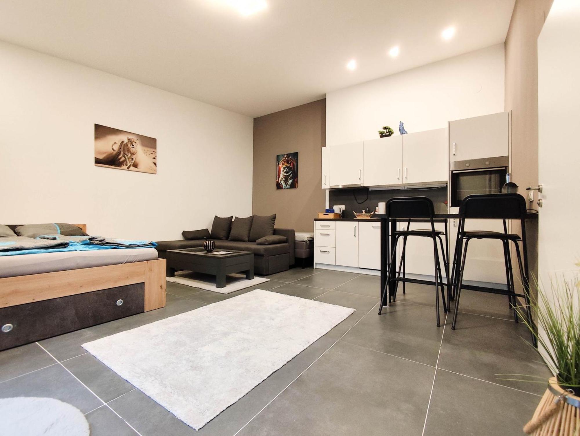 Cozy Apartments In Central Location With Free Parking Viyana Dış mekan fotoğraf